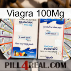 Viagra Jelly 100Mg kamagra1